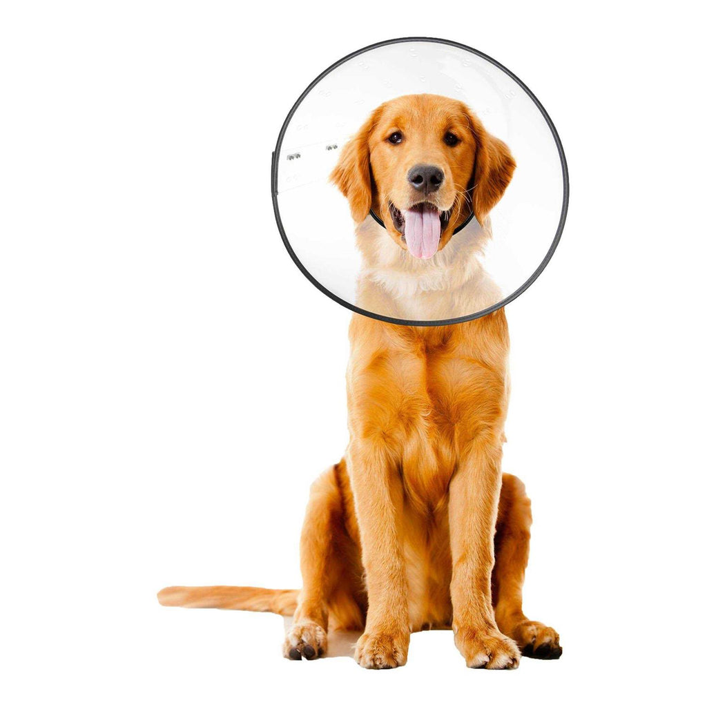 Clear Recovery Collar N809