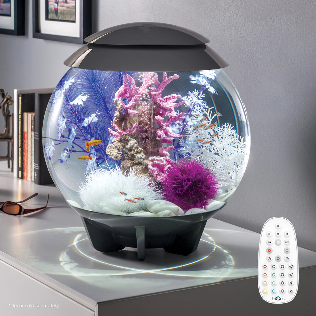 8 gallon Aquarium with MCR Light D718