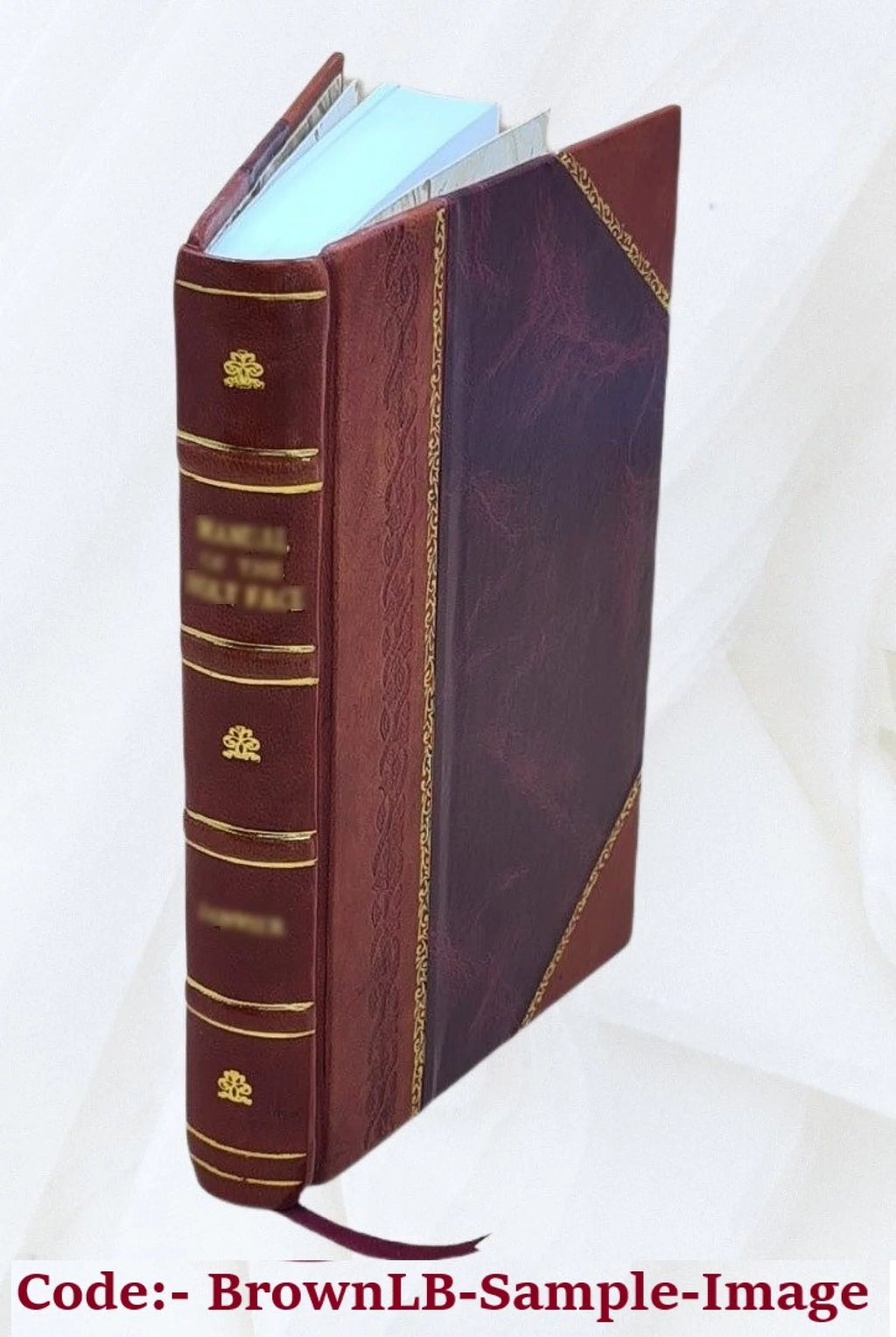 Leather Bound Books W317