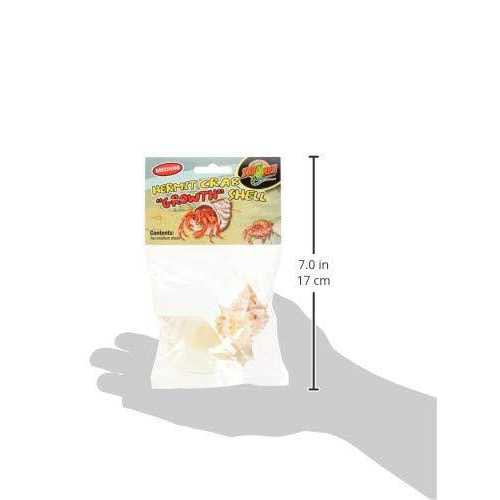 Hermit Crab Growth Shell B443
