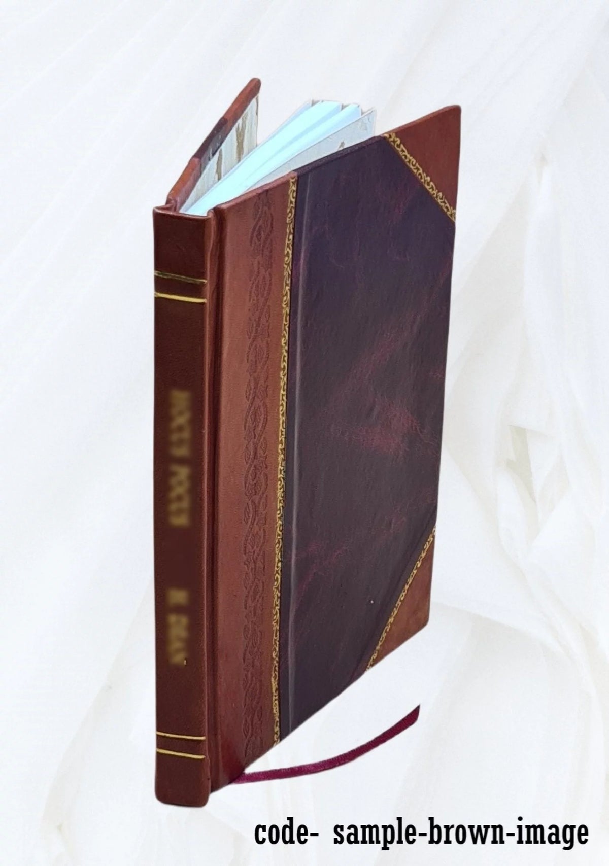 Leather Bound Book I861