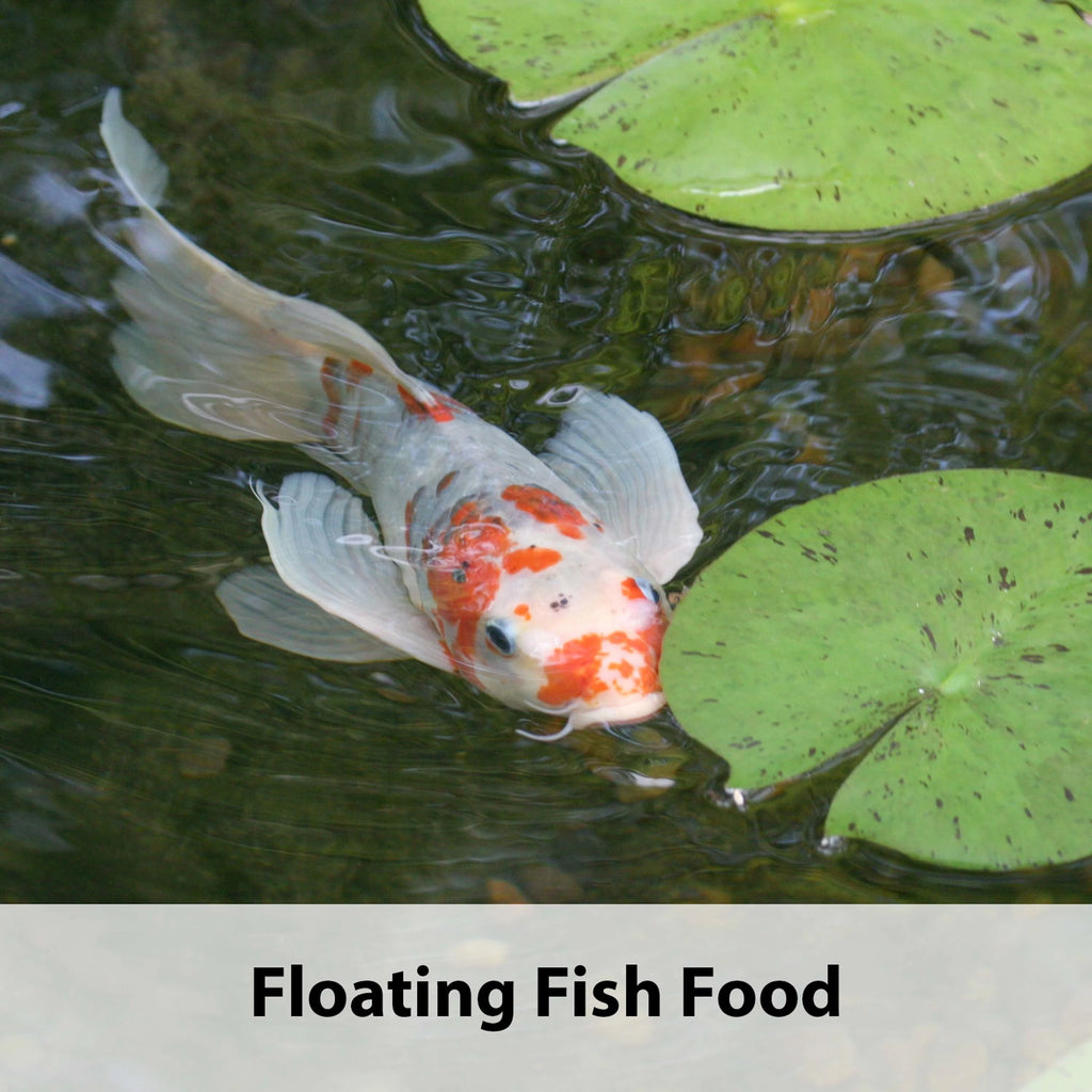 Floating Fish Food 10 LB Bag I55562