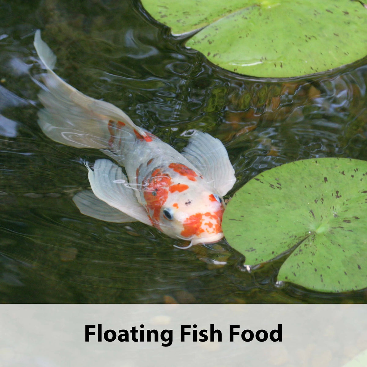 Floating Fish Food 10 LB Bag I55562