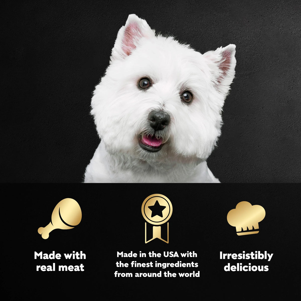 Adult Wet Dog Food Classic Loaf in Sauce Variety Pack, 3.5 oz, Pack of 36 P523725