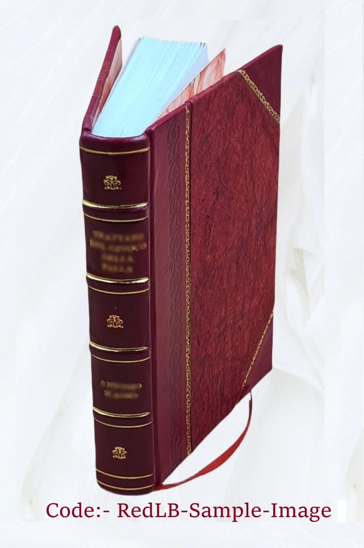 Norske Kongers Krønicke Y746