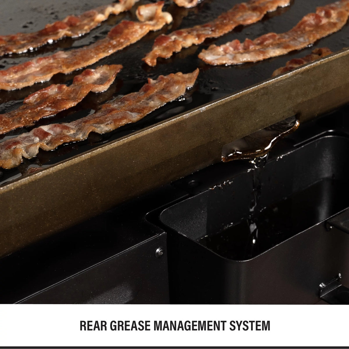 2-Burner 28 Propane Griddle with Foldable Legs H255
