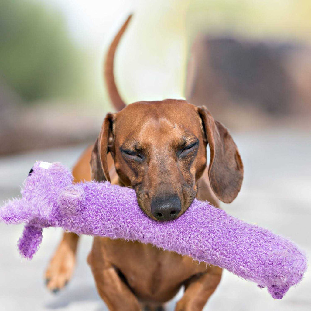 Loofa Dog Toy U711322