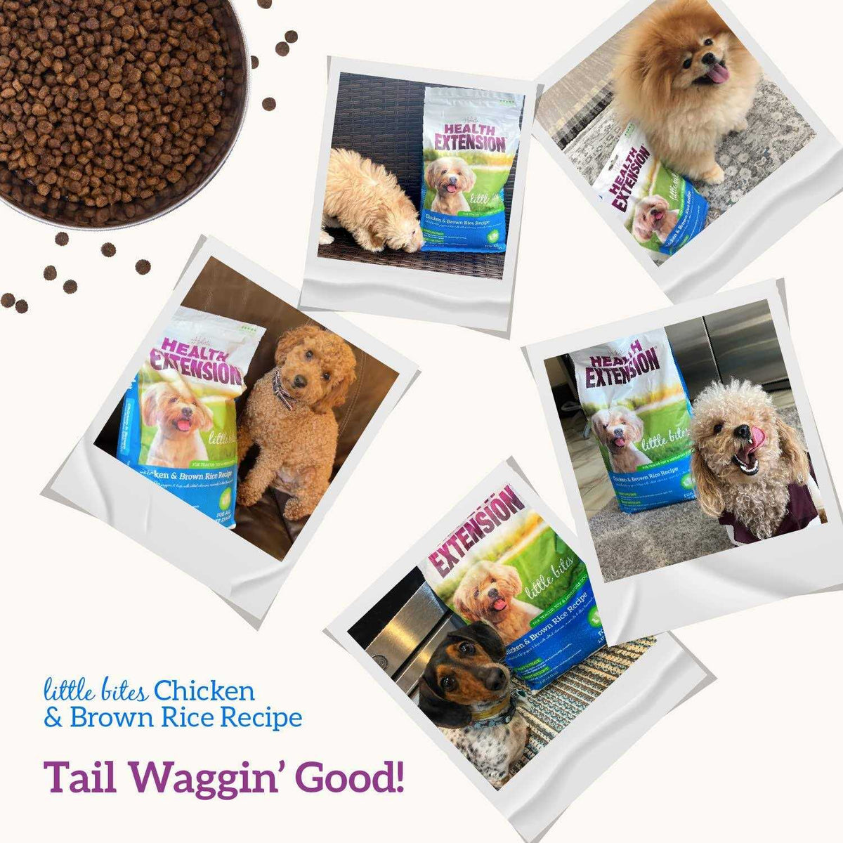 Chicken & Brown Rice Dry Dog Food Q430584