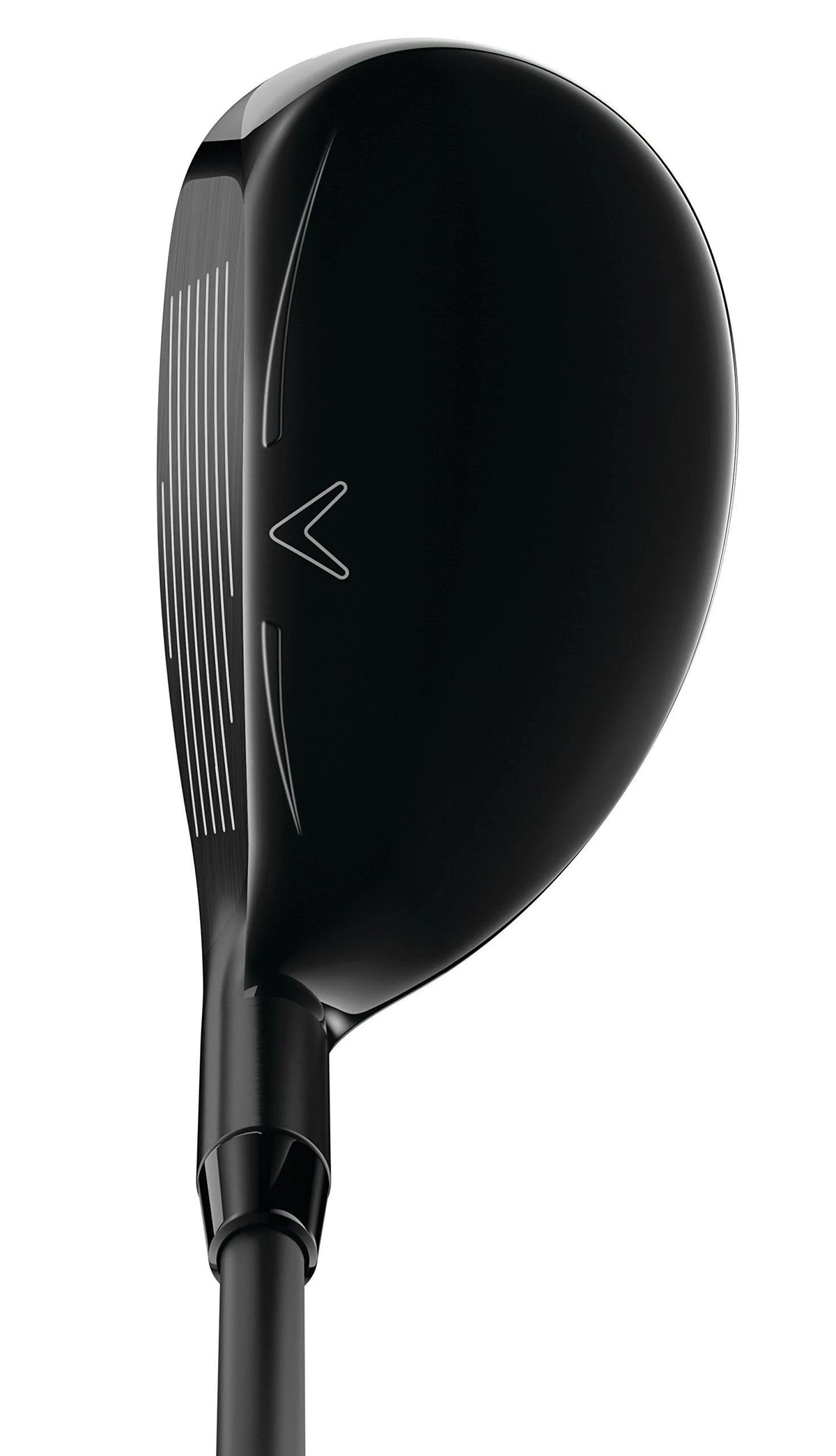 Hybrid S53818