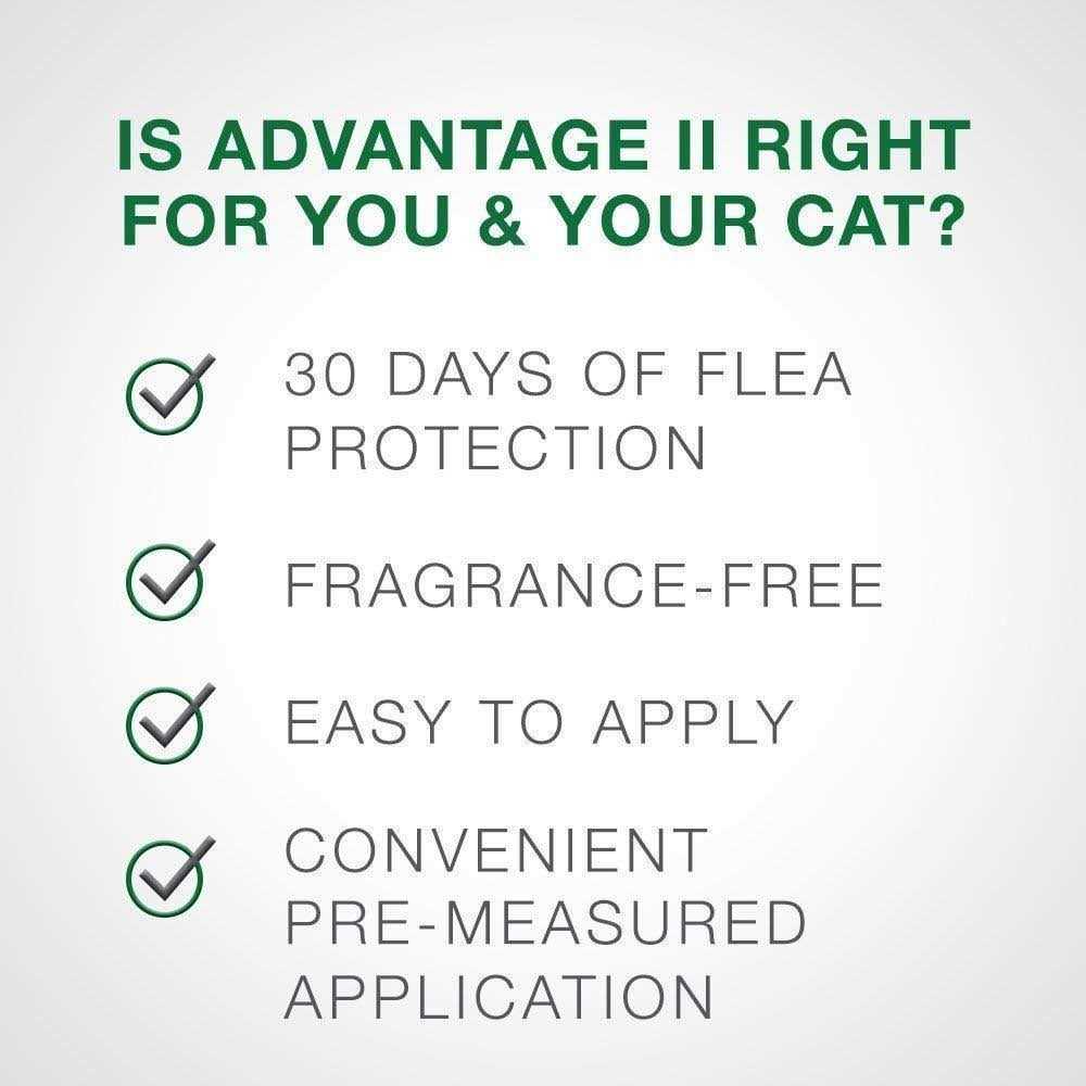 Flea Treatment Cats E577