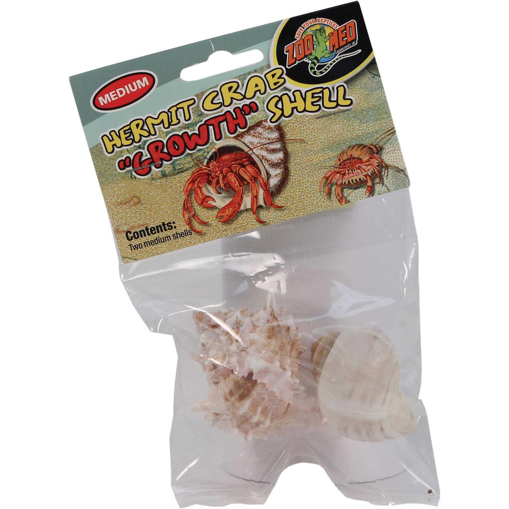 Hermit Crab Growth Shell B443