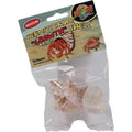 Hermit Crab Growth Shell B443