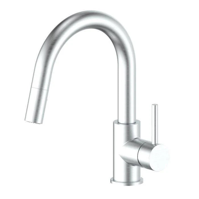 Brushed Nickel Kitchen Faucet U55424