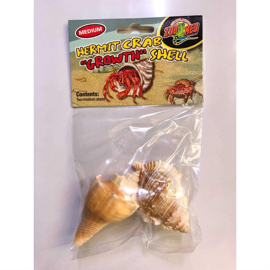 Hermit Crab Growth Shell B443