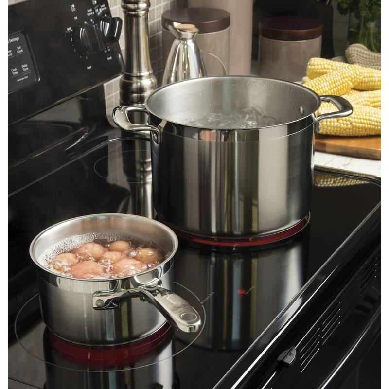 5.3 cu. ft. Freestanding Electric Range in Black D1255