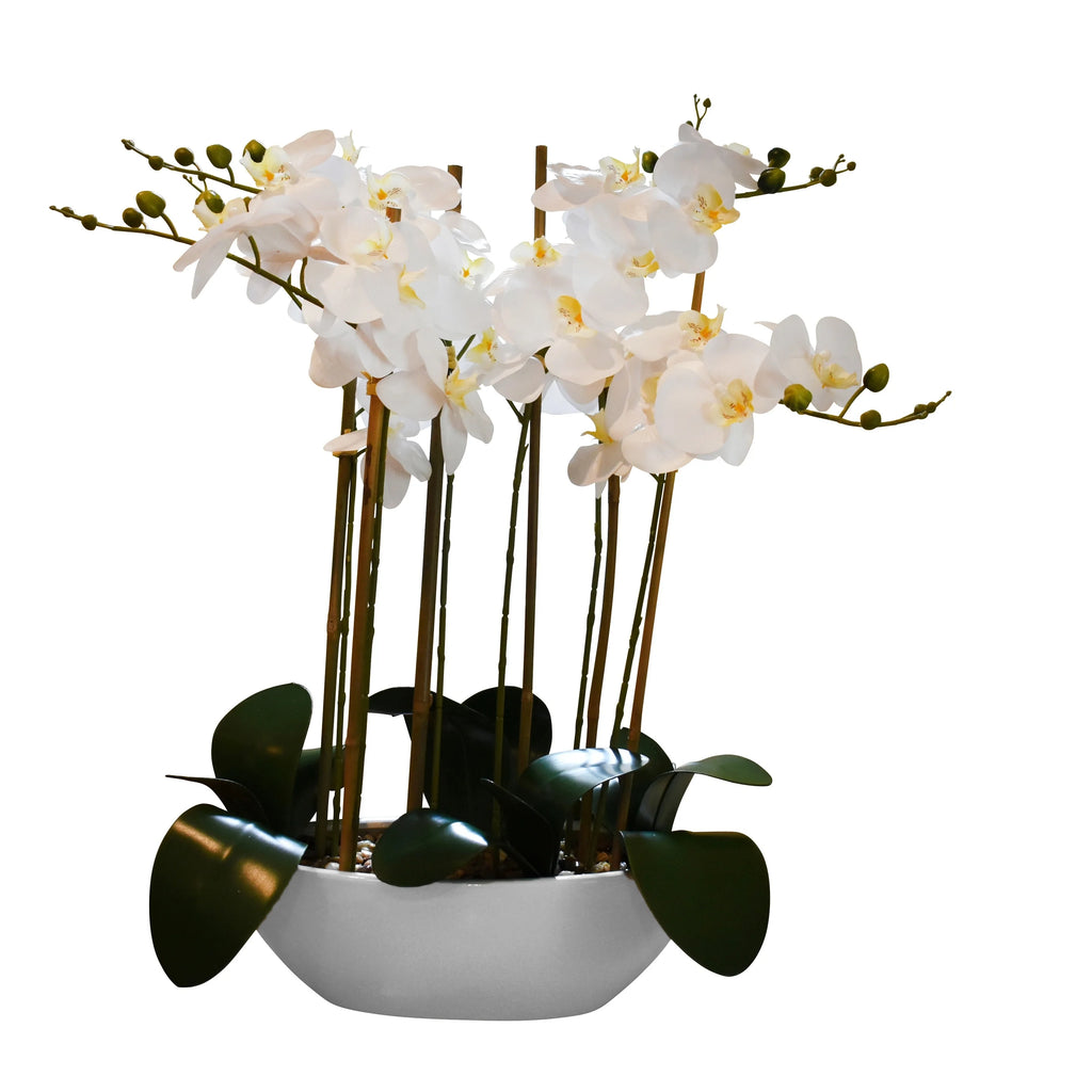 32" Real Touch Phalaenopsis Orchid with White Oval Container P25211