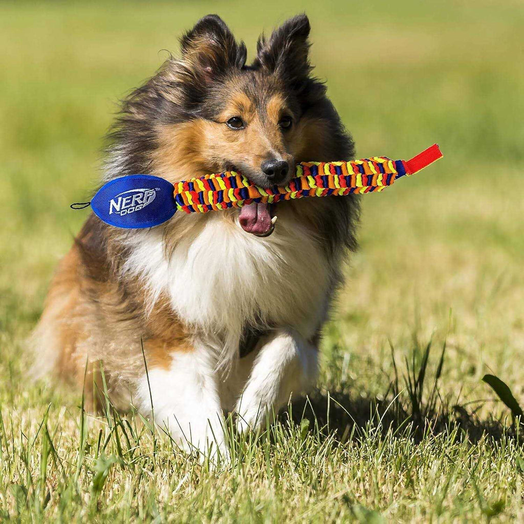 Dog Toy Y601364