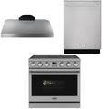 36 Electric Range, Range Hood and Dishwasher H474