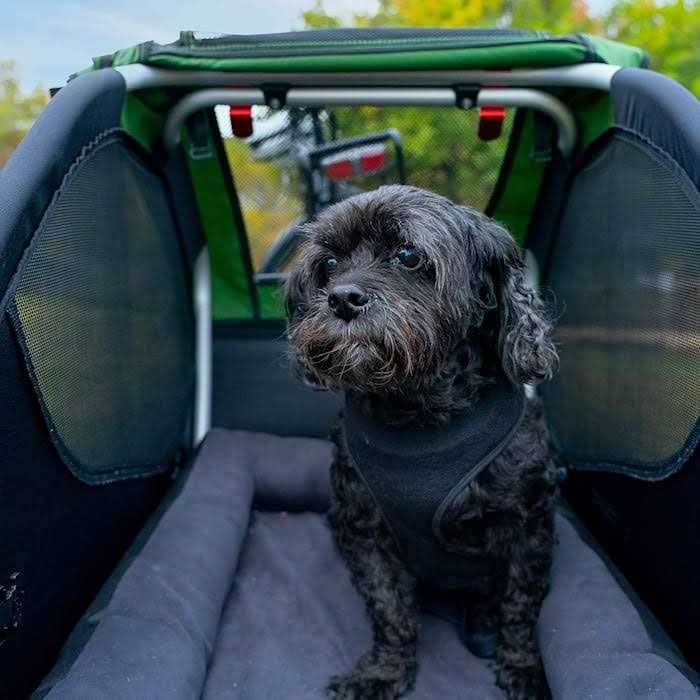 Pet Bed T7827